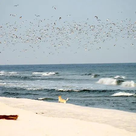 White Pearl 0.12 Apartment Timmendorfer Strand