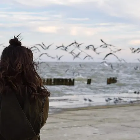 White Pearl 0.12 Apartment *