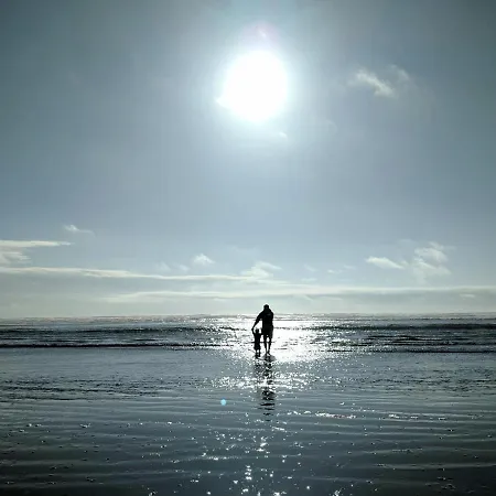 Apartment White Pearl 0.12