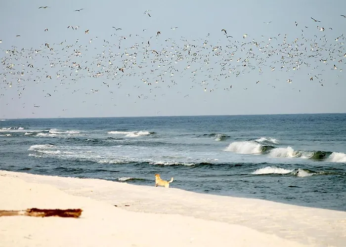 White Pearl 0.12 Apartment Timmendorfer Strand