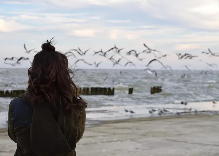 White Pearl 0.12 Apartment *